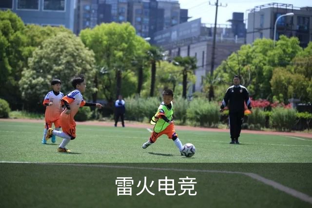 雷火电竞公司介绍图